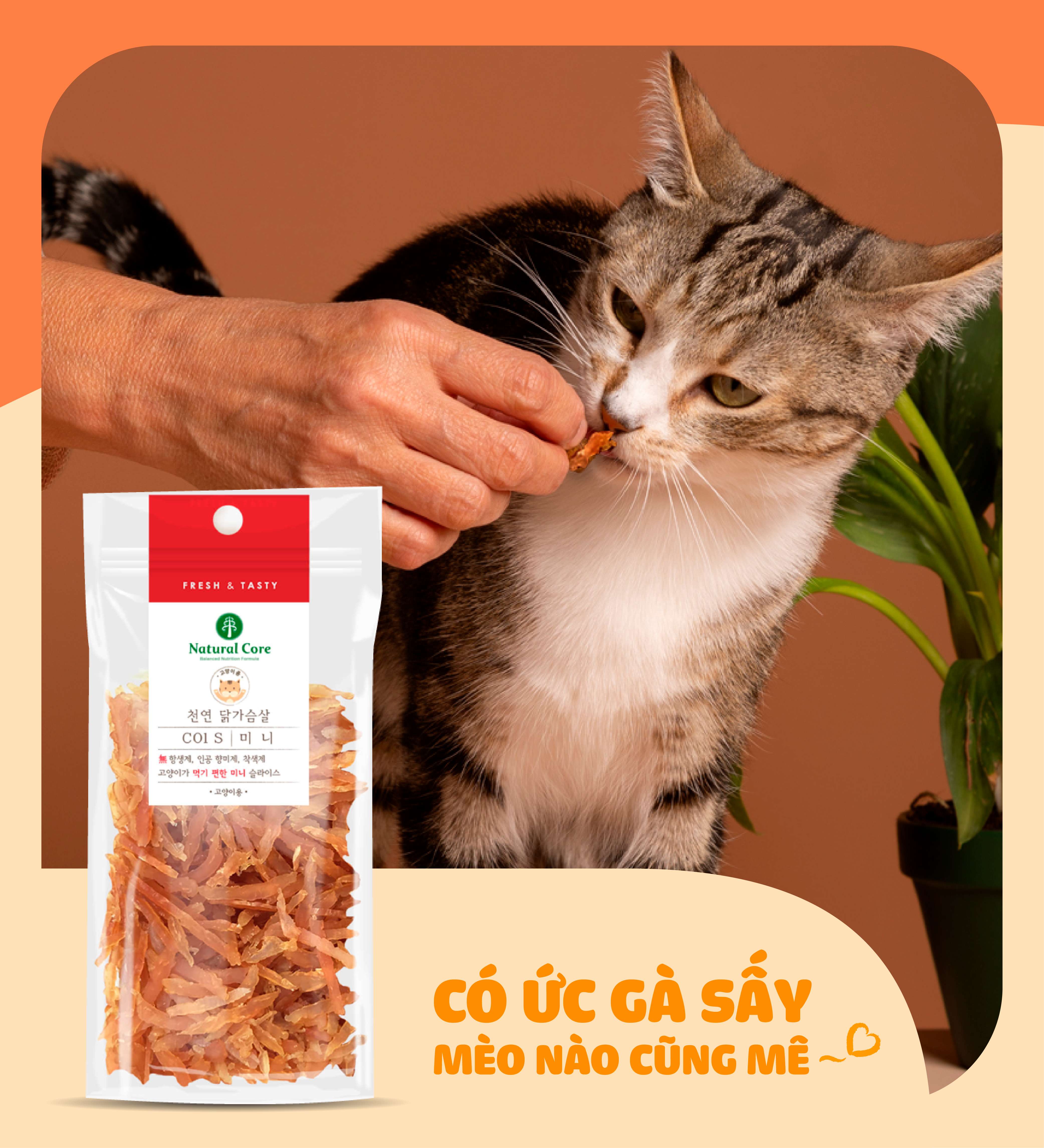 Ức gà sấy cho mèo