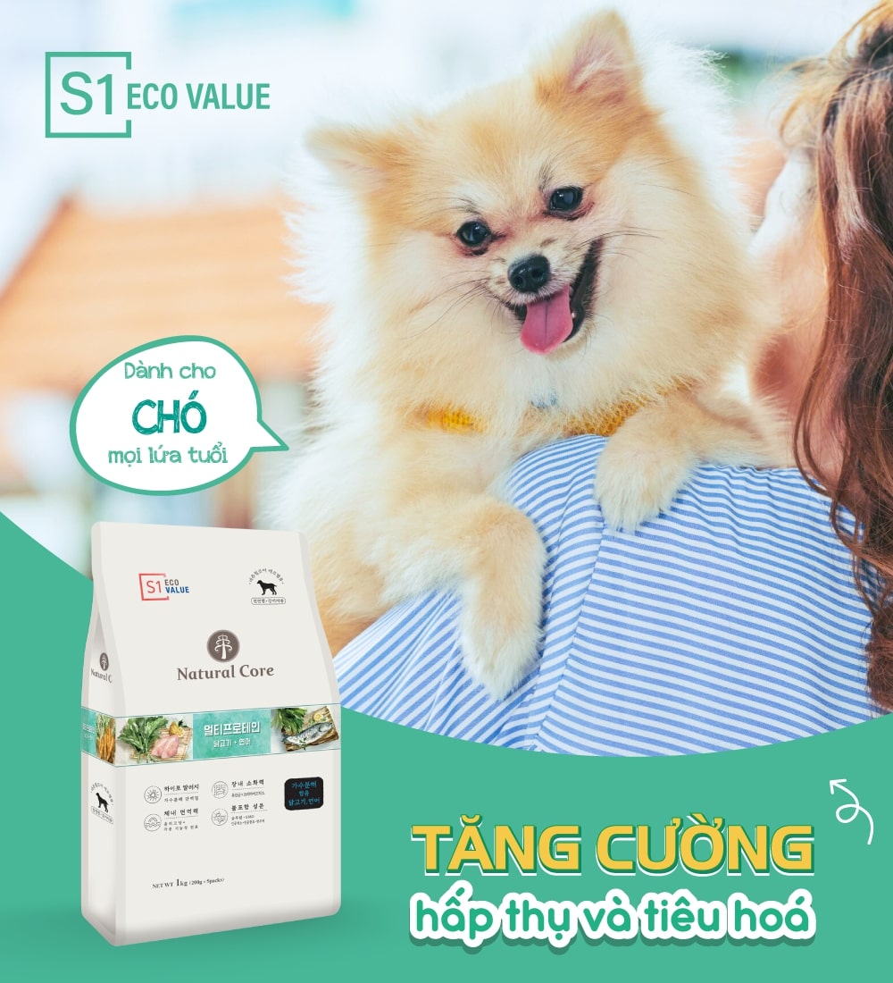Thức ăn cho chó S1 (Đa đạm)