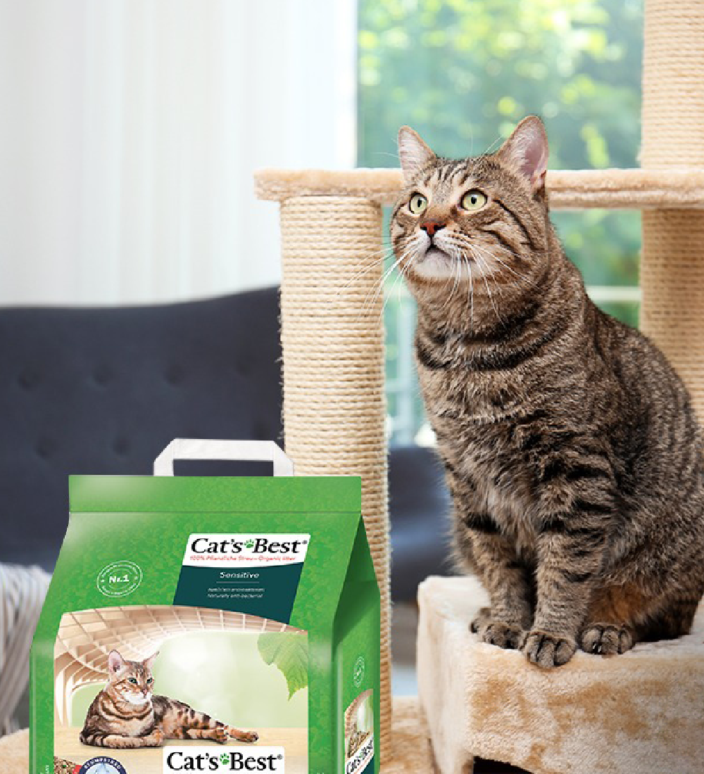 Cát vệ sinh hữu cơ vón cục siêu thấm hút và kháng khuẩn Cat's Best Sensitive