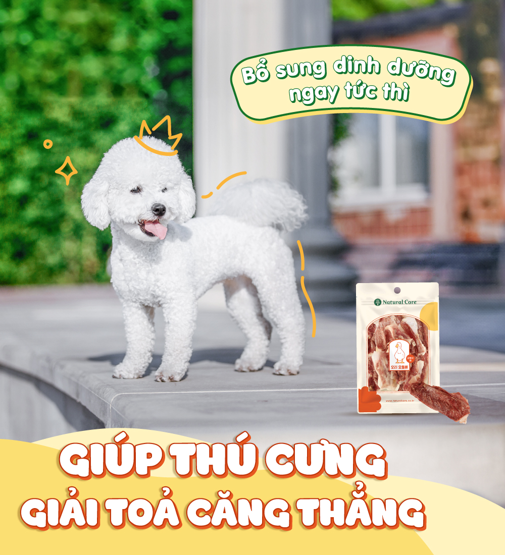Sụn vịt