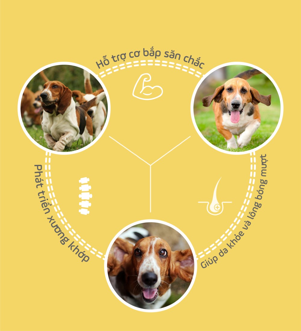 Thịt sấy mềm