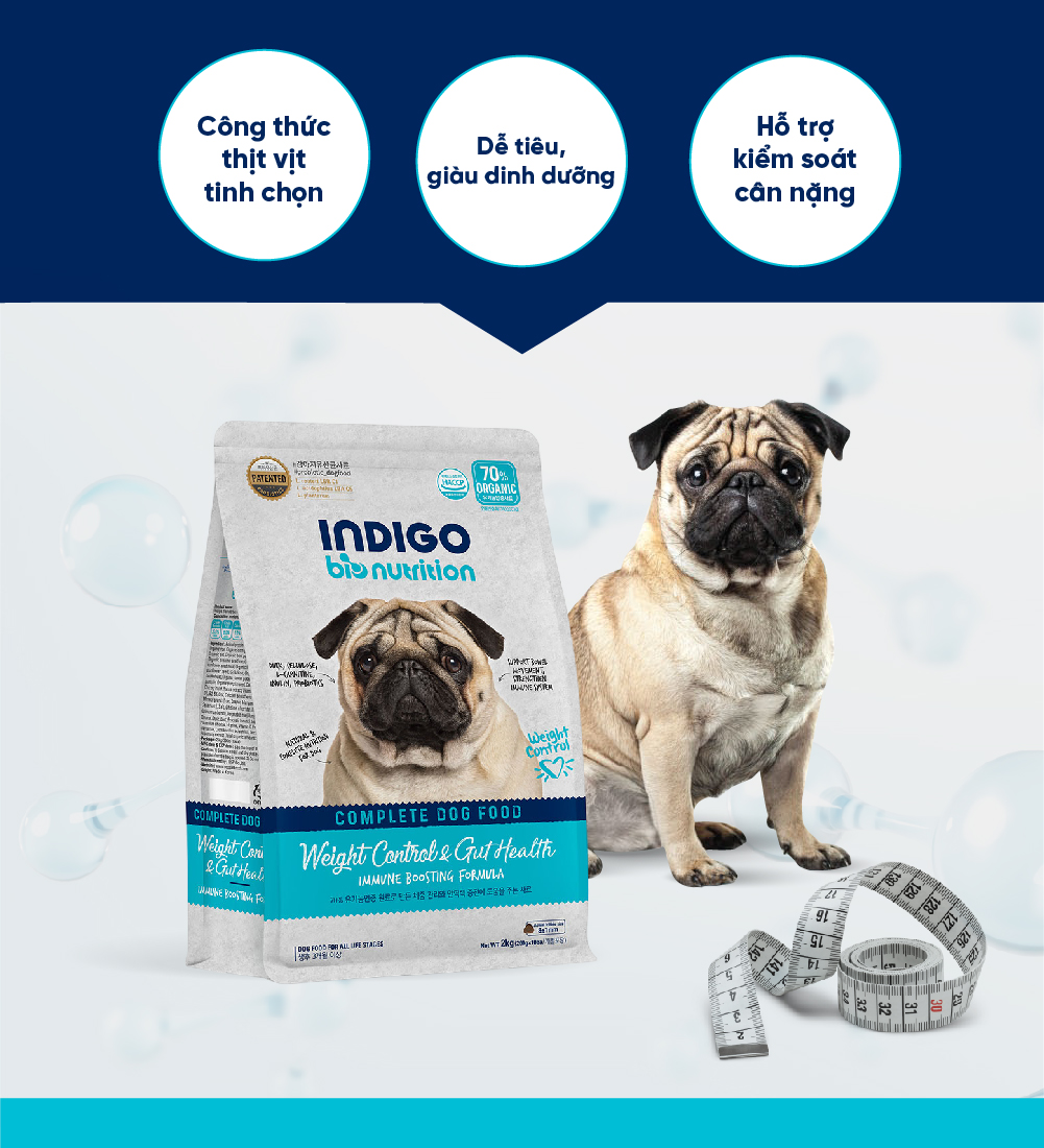 Thức ăn dinh dưỡng chức năng cho chó kiểm soát cân nặng và tăng cường sức khỏe tiêu hóa