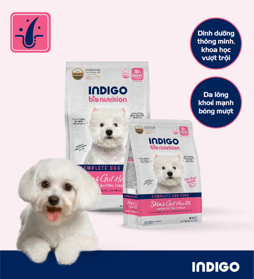 Thức ăn dinh dưỡng chức năng cho chó tăng cường sức khỏe da và tiêu hóa