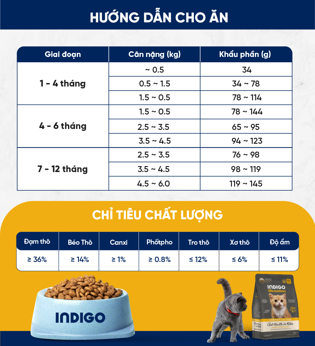 Thức ăn dinh dưỡng chức năng cho mèo con tăng cường sức khỏe tiêu hóa