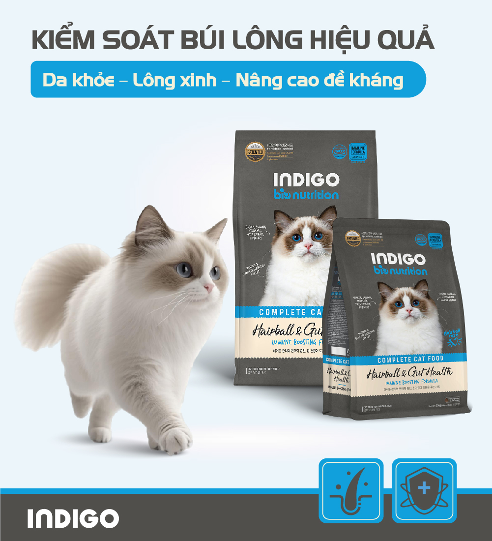 Thức ăn dinh dưỡng chức năng cho mèo kiểm soát búi lông và tăng cường sức khỏe tiêu hóa
