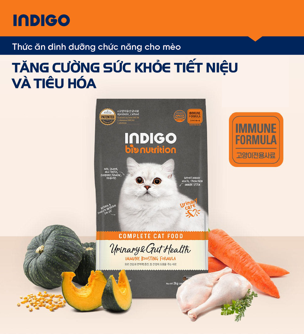 Thức ăn dinh dưỡng chức năng cho mèo tăng cường sức khỏe tiết niệu và tiêu hóa