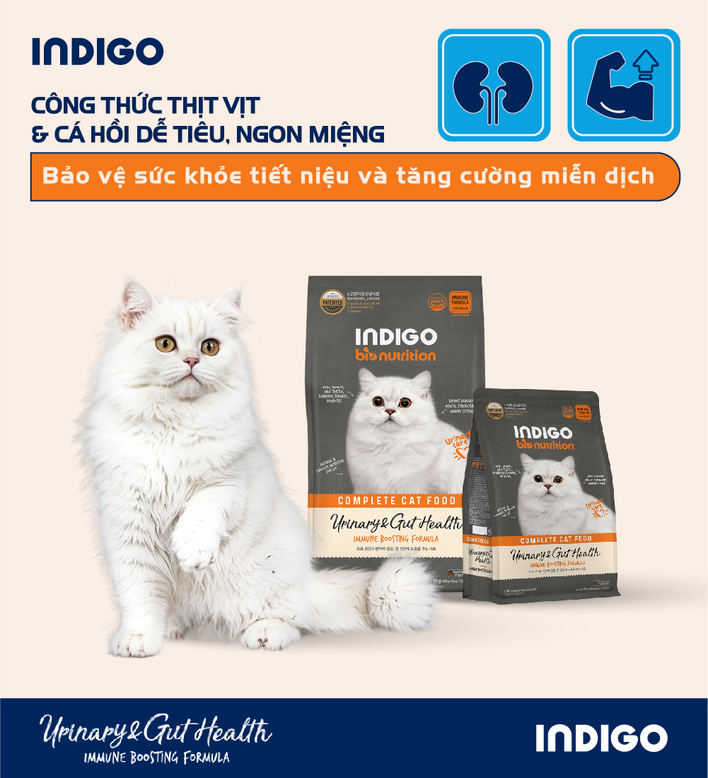Thức ăn dinh dưỡng chức năng cho mèo tăng cường sức khỏe tiết niệu và tiêu hóa