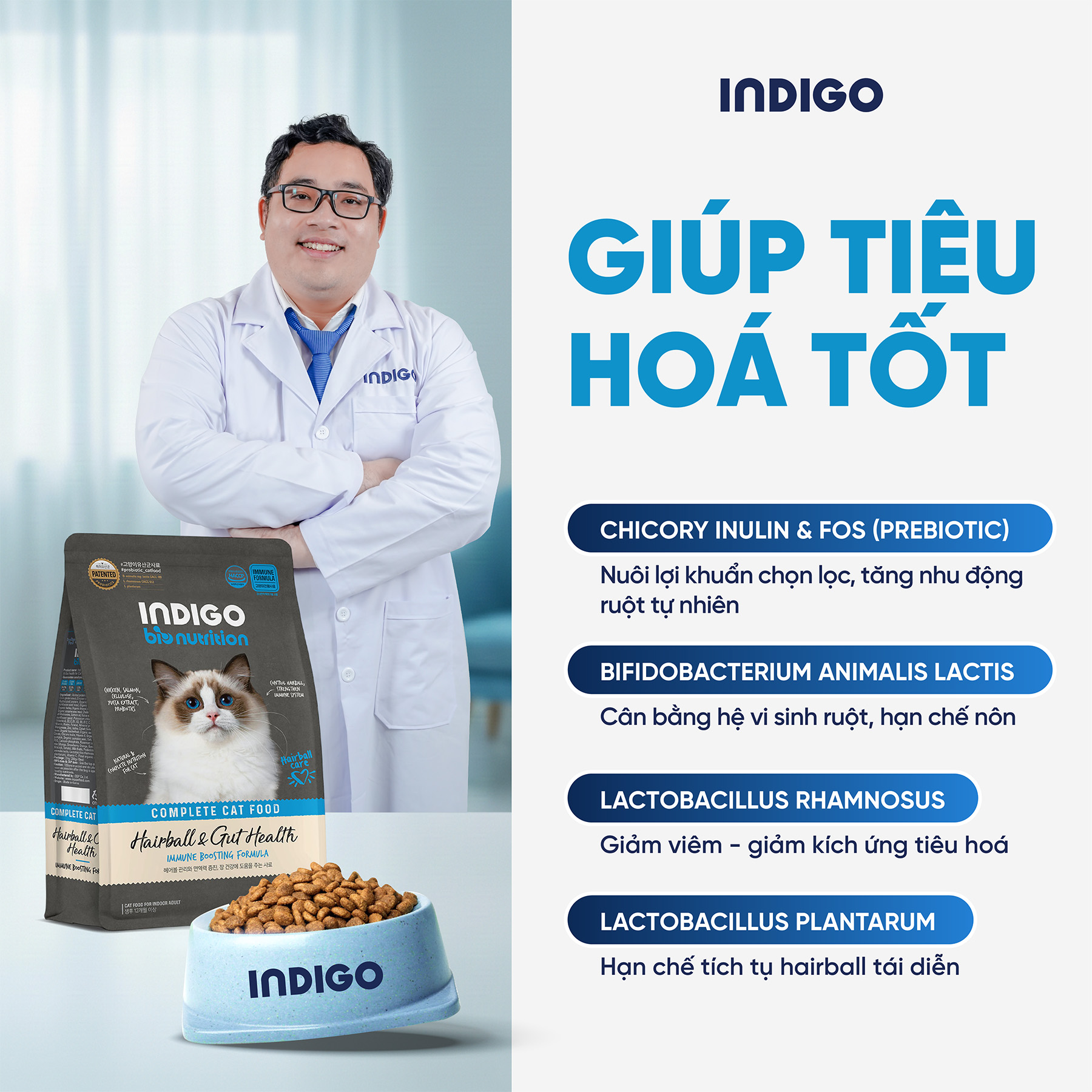 Thức ăn dinh dưỡng chức năng cho mèo kiểm soát búi lông và tăng cường sức khỏe tiêu hóa