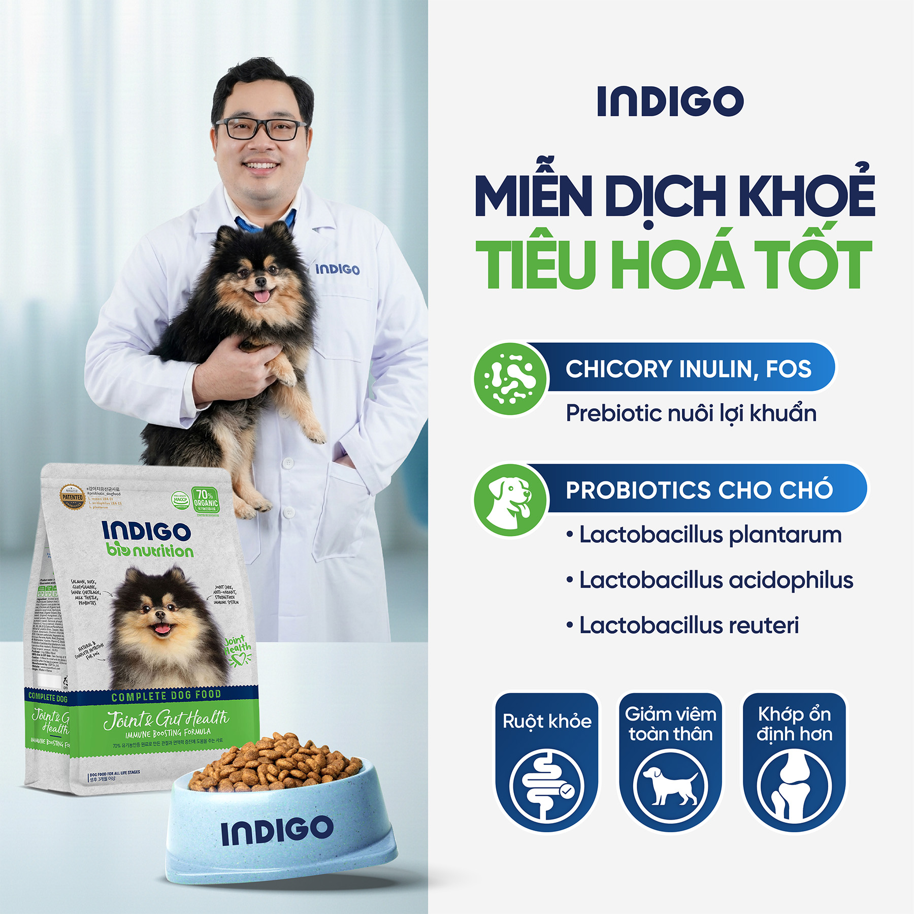 Thức ăn dinh dưỡng chức năng cho chó tăng cường sức khỏe khớp và tiêu hóa