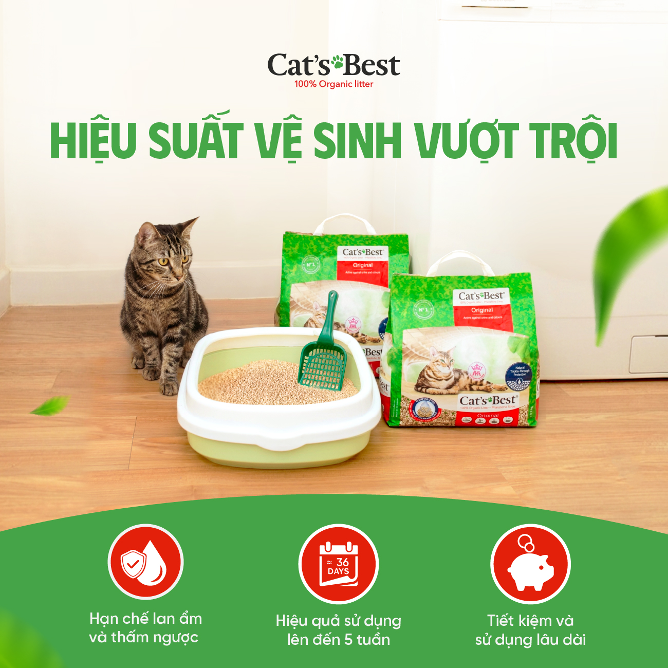 Cát vệ sinh hữu cơ vón cục khử mùi và vi trùng Cat's Best Original