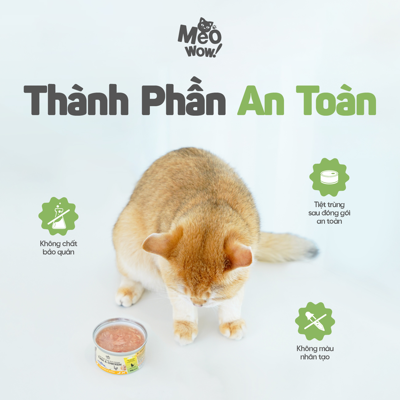 Thịt hộp cho mèo Tuna White Meat