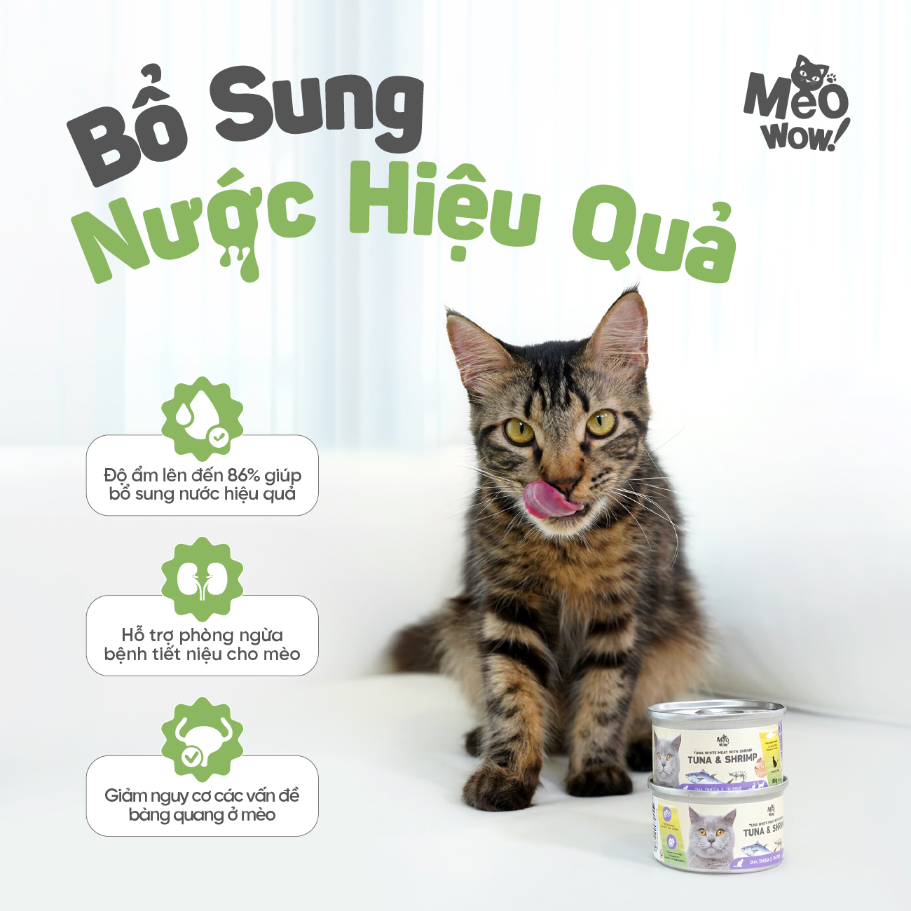 Thịt hộp cho mèo Tuna White Meat