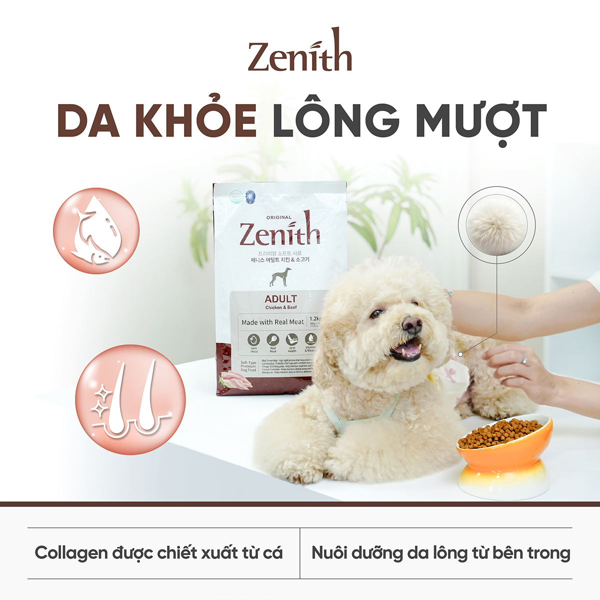 Thức ăn hạt mềm Zenith thịt gà & bò cho chó trưởng thành