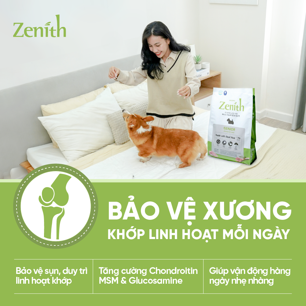 Thức ăn hạt mềm Zenith thịt gà & cừu cho chó già