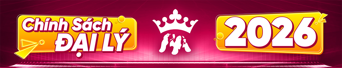 Chính sách đại lý