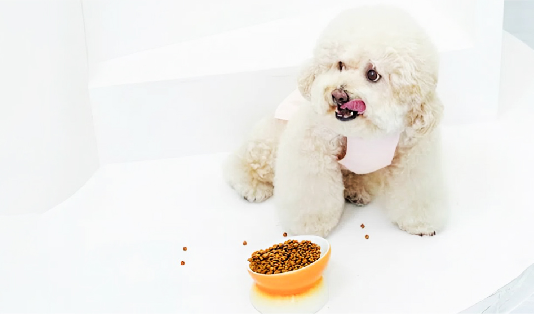 Lựa chọn phù hợp <br> cho tăng trưởng ổn định