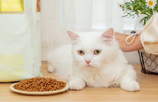 Cat food