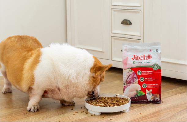 Dog food