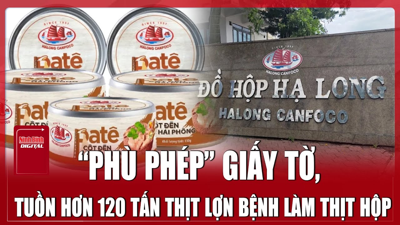 Rúng động: Phát hiện hơn 120 tấn thịt heo nhiễm bệnh tại công ty Đồ hộp Hạ Long