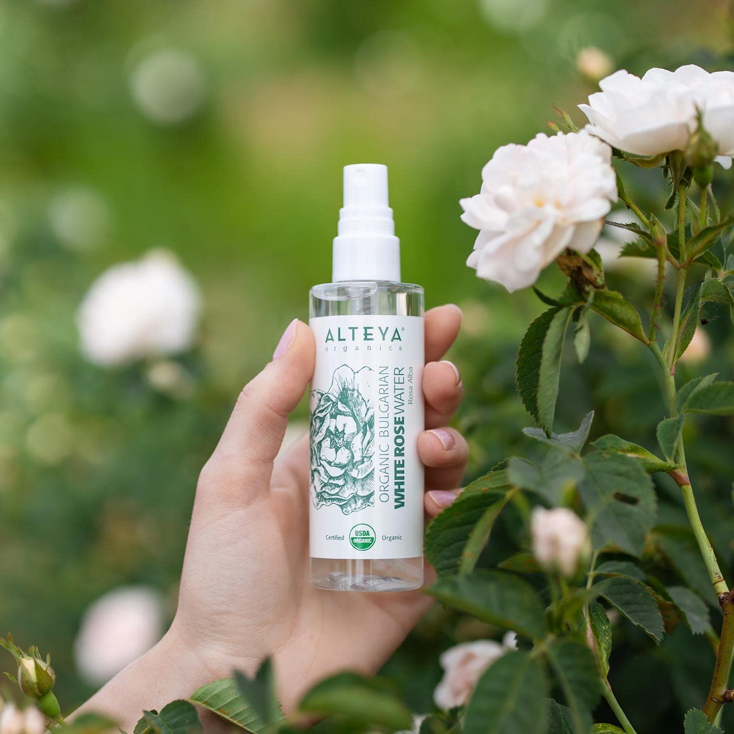 Nước hoa hồng trắng hữu cơ Alteya (100ml)