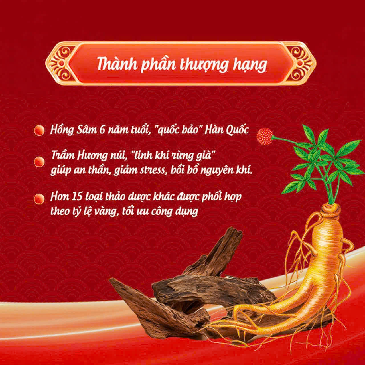 Sâm trầm hương núi Jangsu Agarwood Red Ginseng