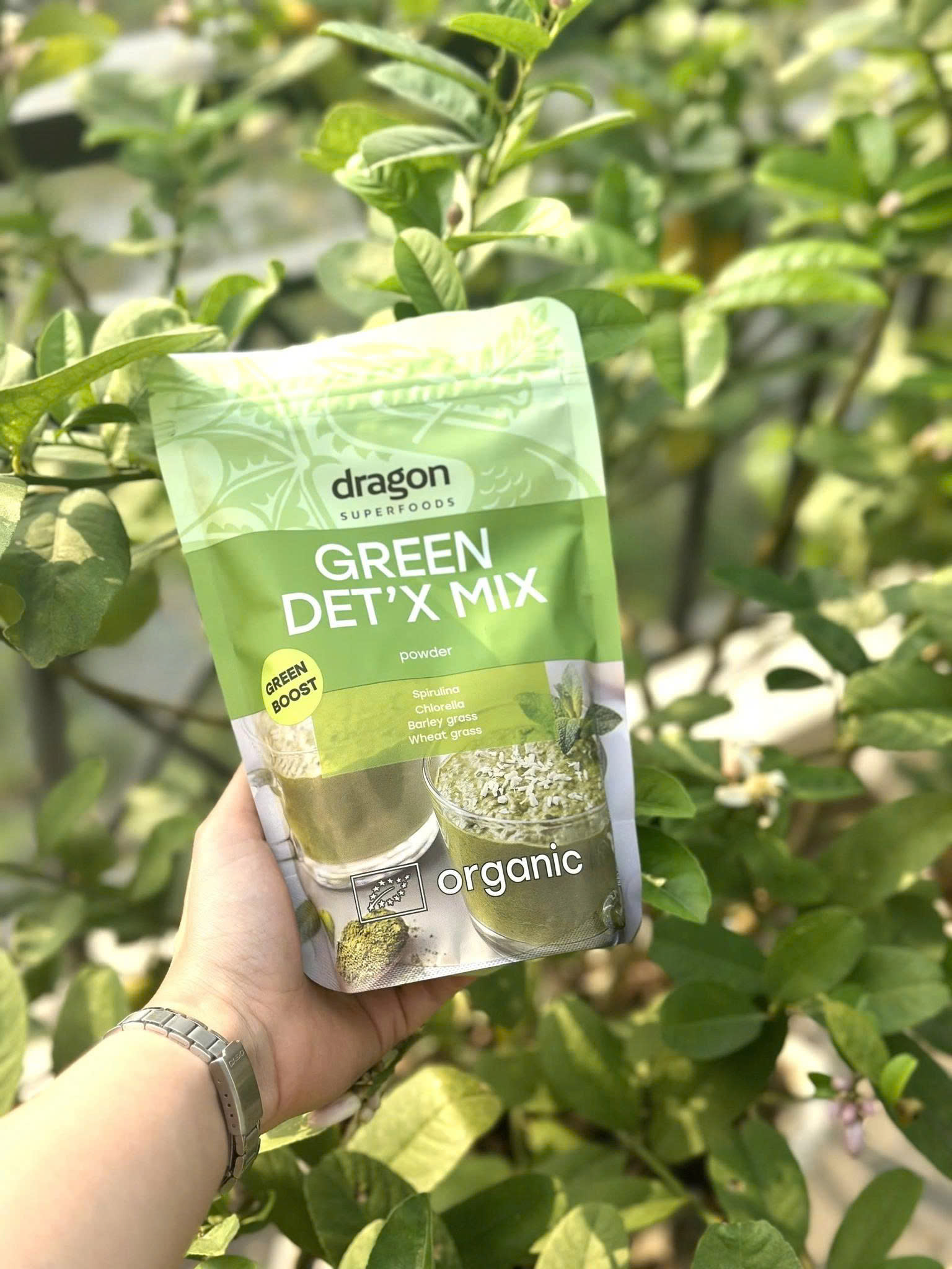 Hỗn hợp dinh dưỡng xanh hữu cơ Dragon Superfood
