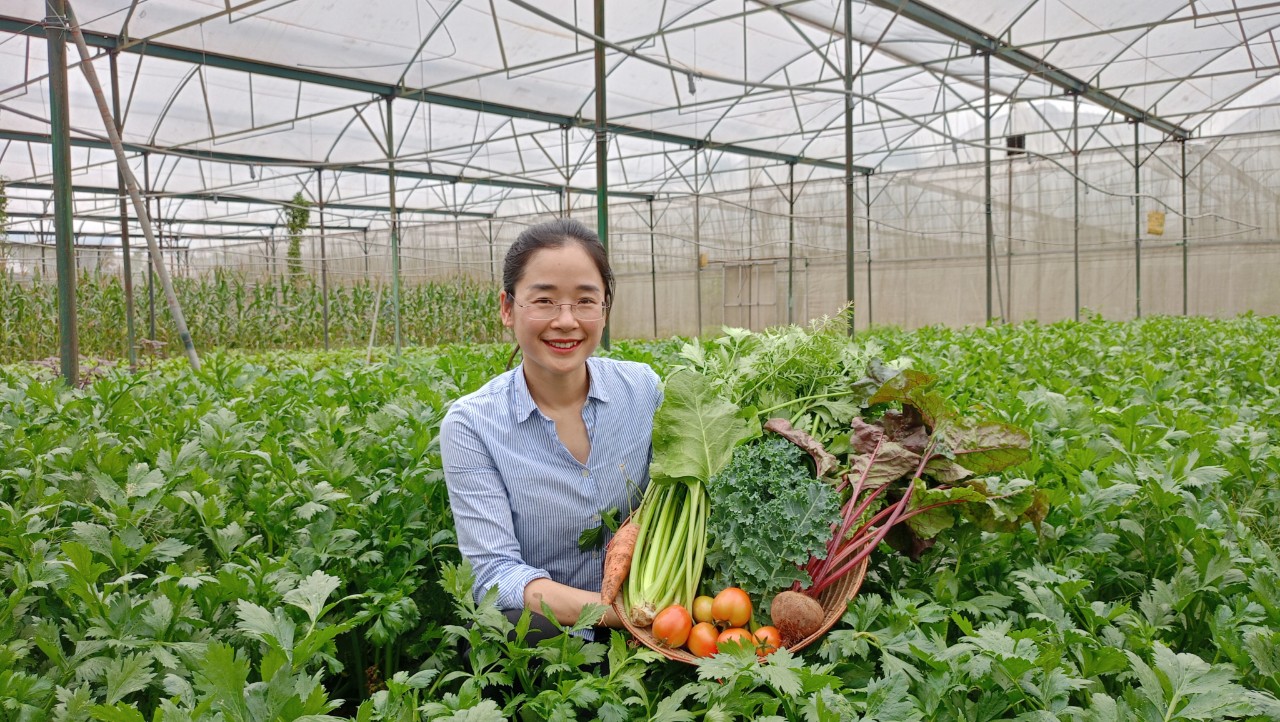 Bột nước ép Cần tây Sungrass - Hộp 15 gói