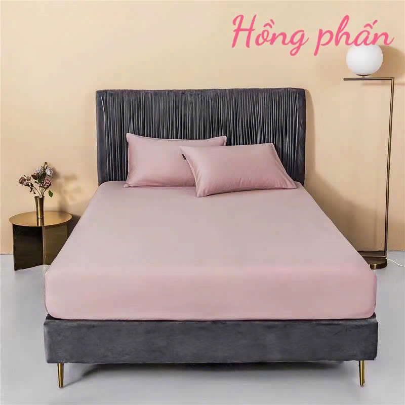 GA GỐI LẺ- Set ga gối lẻ Lụa 60s