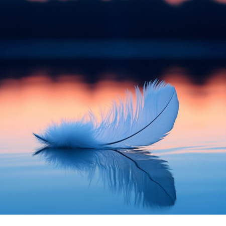 Hình ảnh bài viết