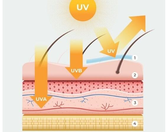 Hình ảnh bài viết