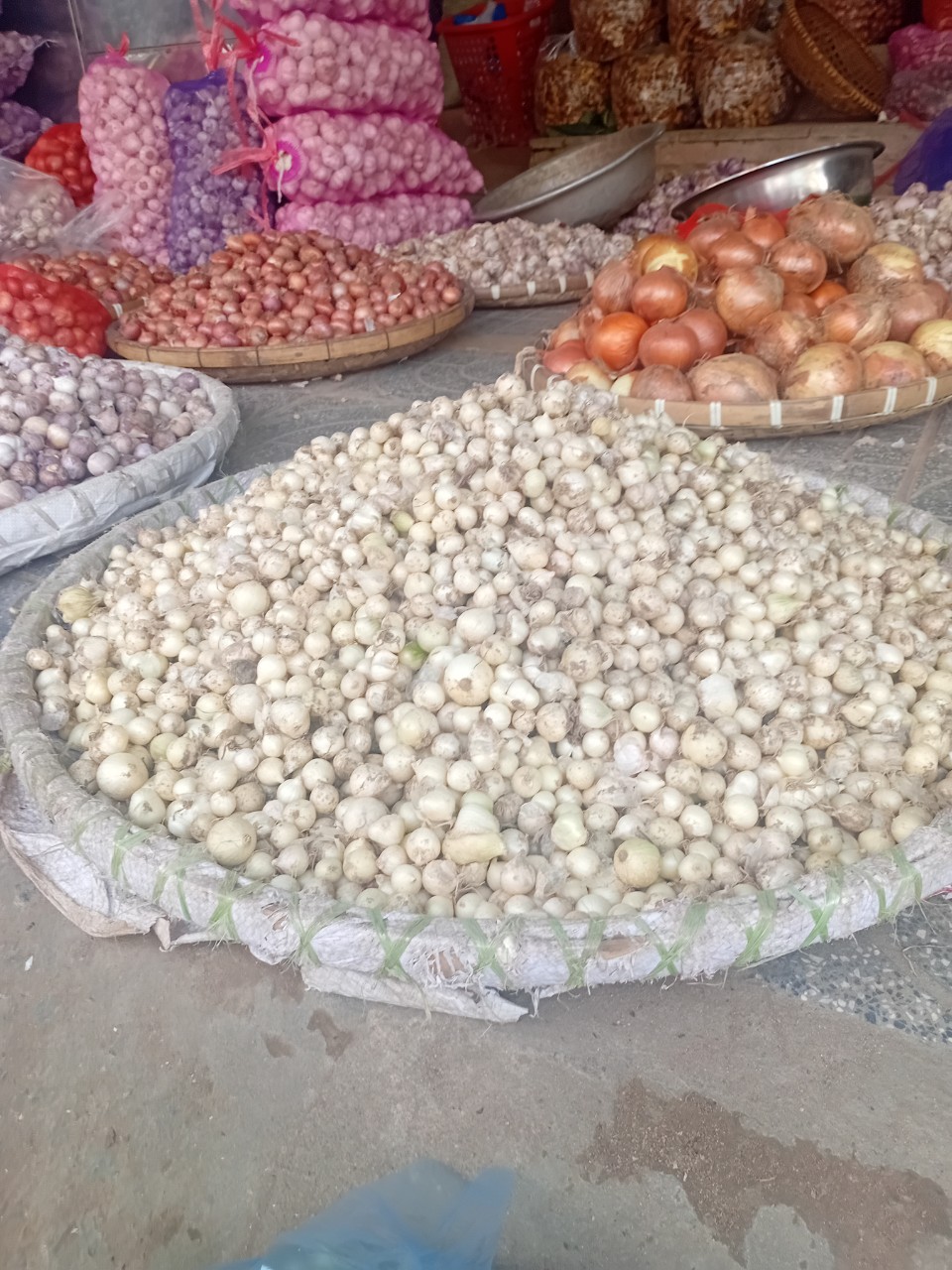 Hành tăm Nghệ An củ vừa, và nhỏ thơm ngon