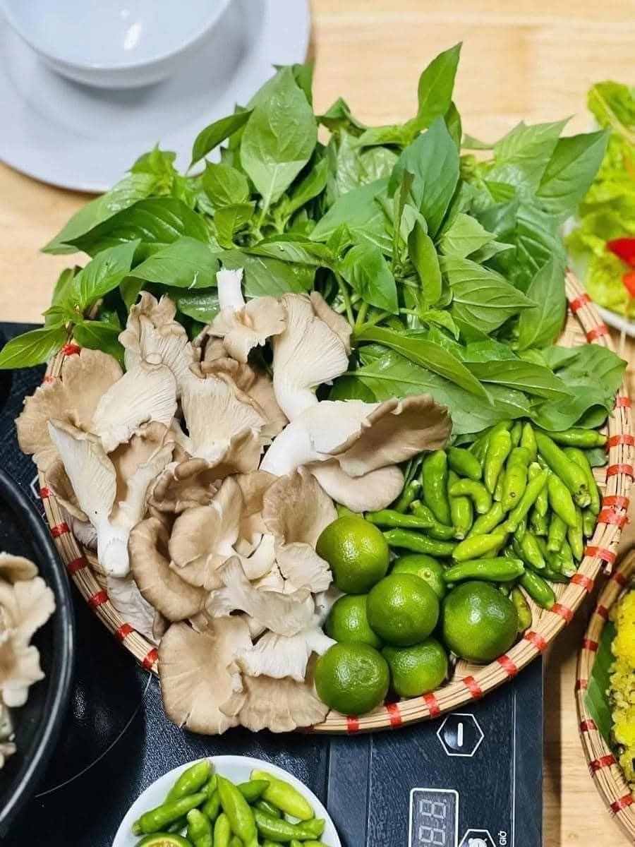Hạt Giống Lá É Phú Yên Chất Lượng Cao