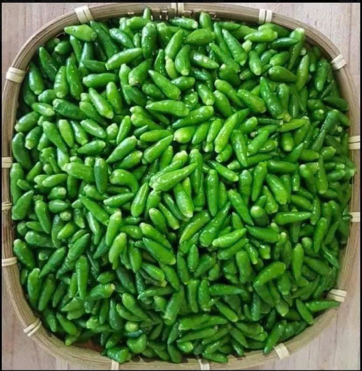 Hạt Giống Ớt Xiêm Thái Lan Cao Cấp
