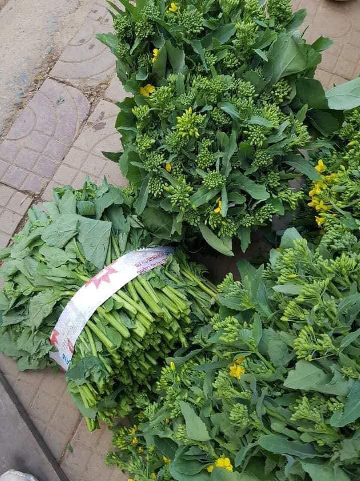 Hạt giống rau Cải ngồng ngọt xanh