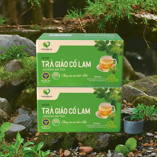 Trà Giảo Cổ Lam túi lọc