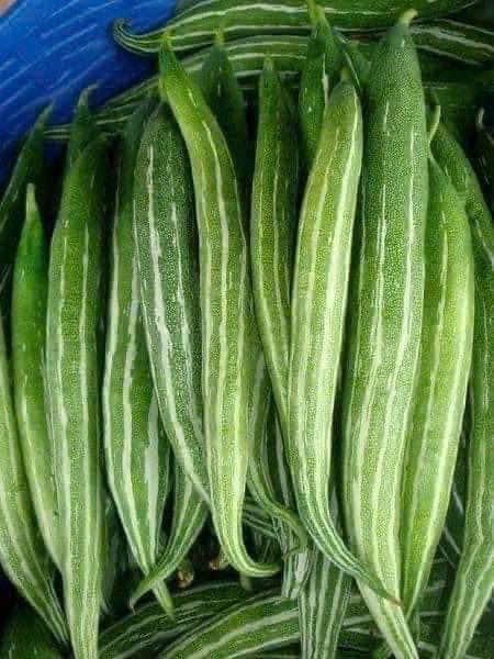 Hạt giông mướp nhật lặc lài