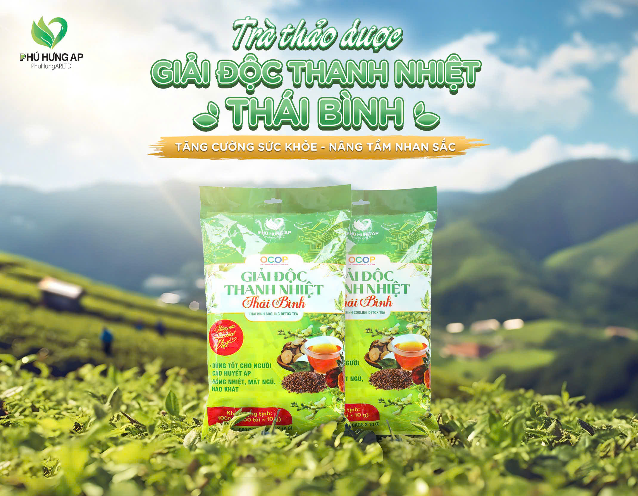 Trà Giải Độc Thanh Nhiệt Thái Bình 1kg (100gói x 10gr)