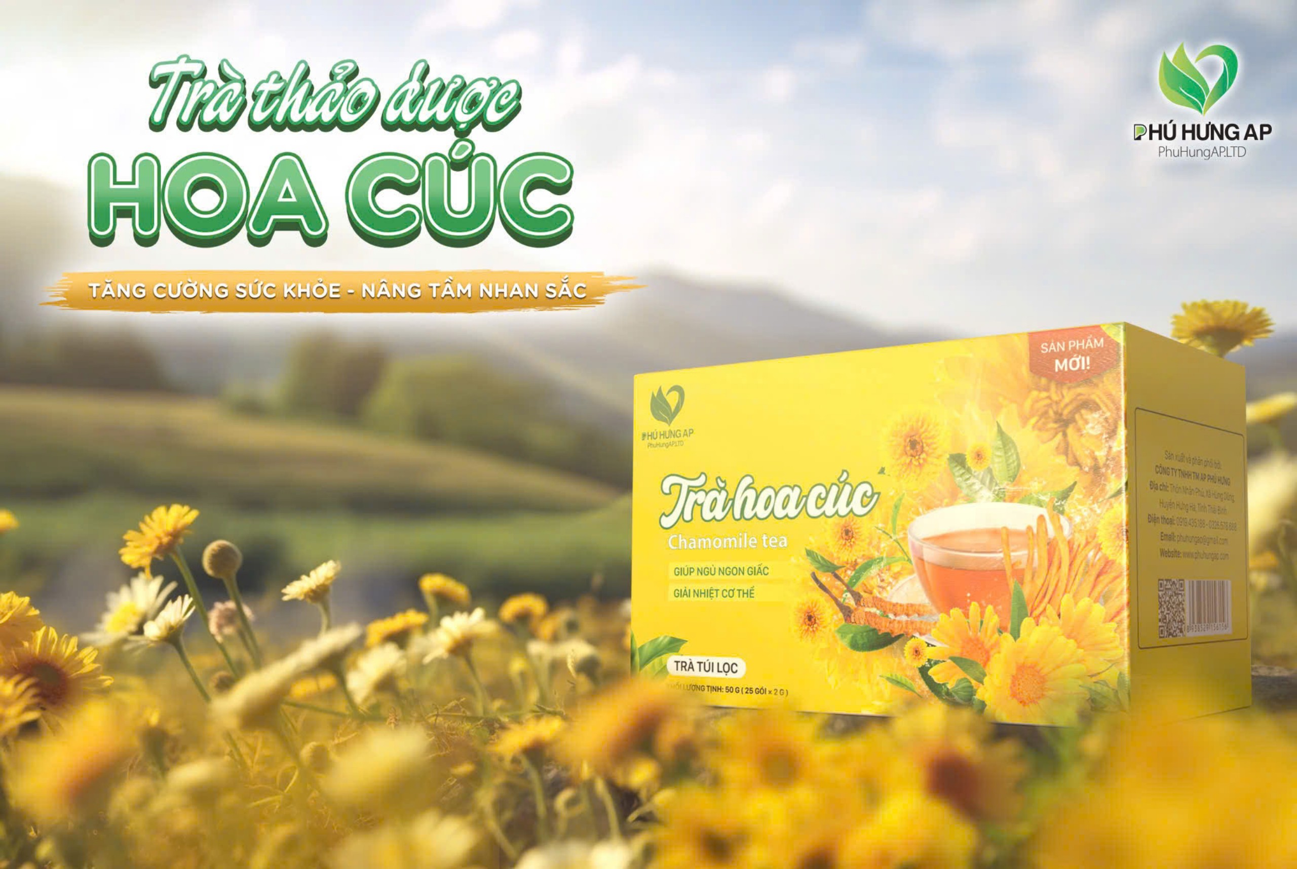 Trà hoa cúc túi lọc