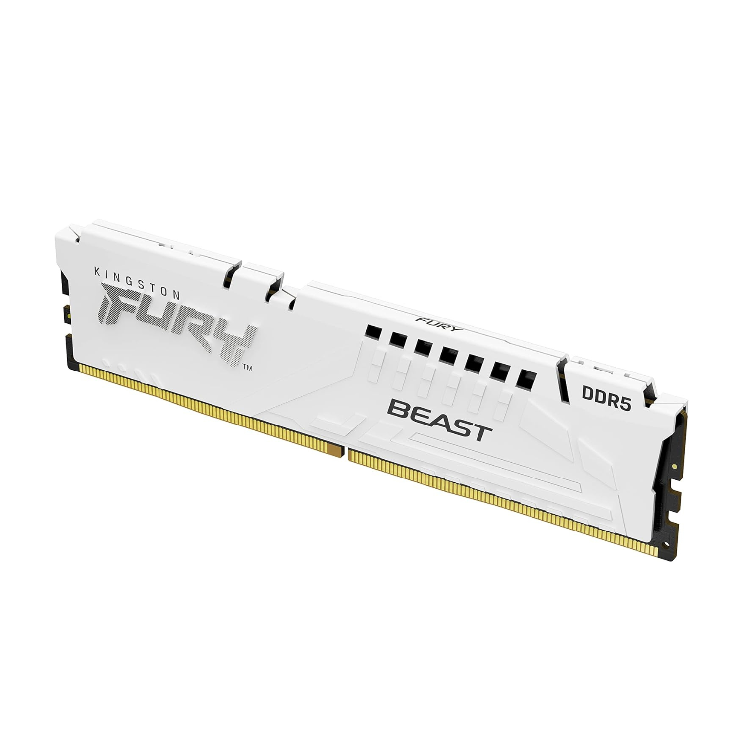 RAM Kingston FURY Beast DDR5 5200MHz