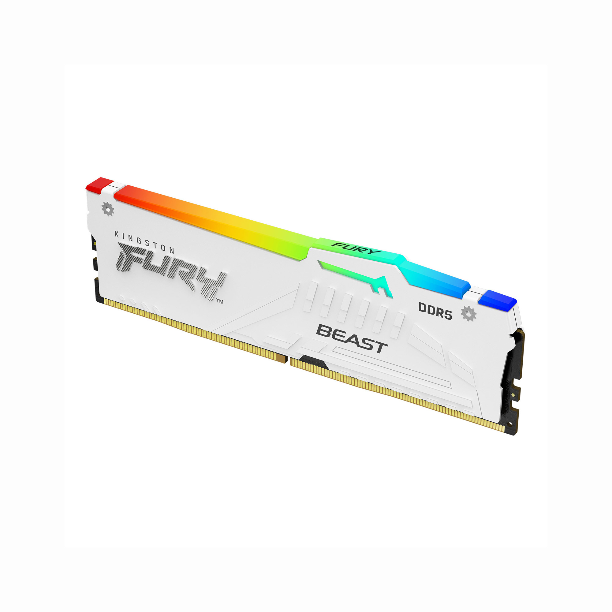 RAM Kingston FURY Beast RGB DDR5 5600MHz