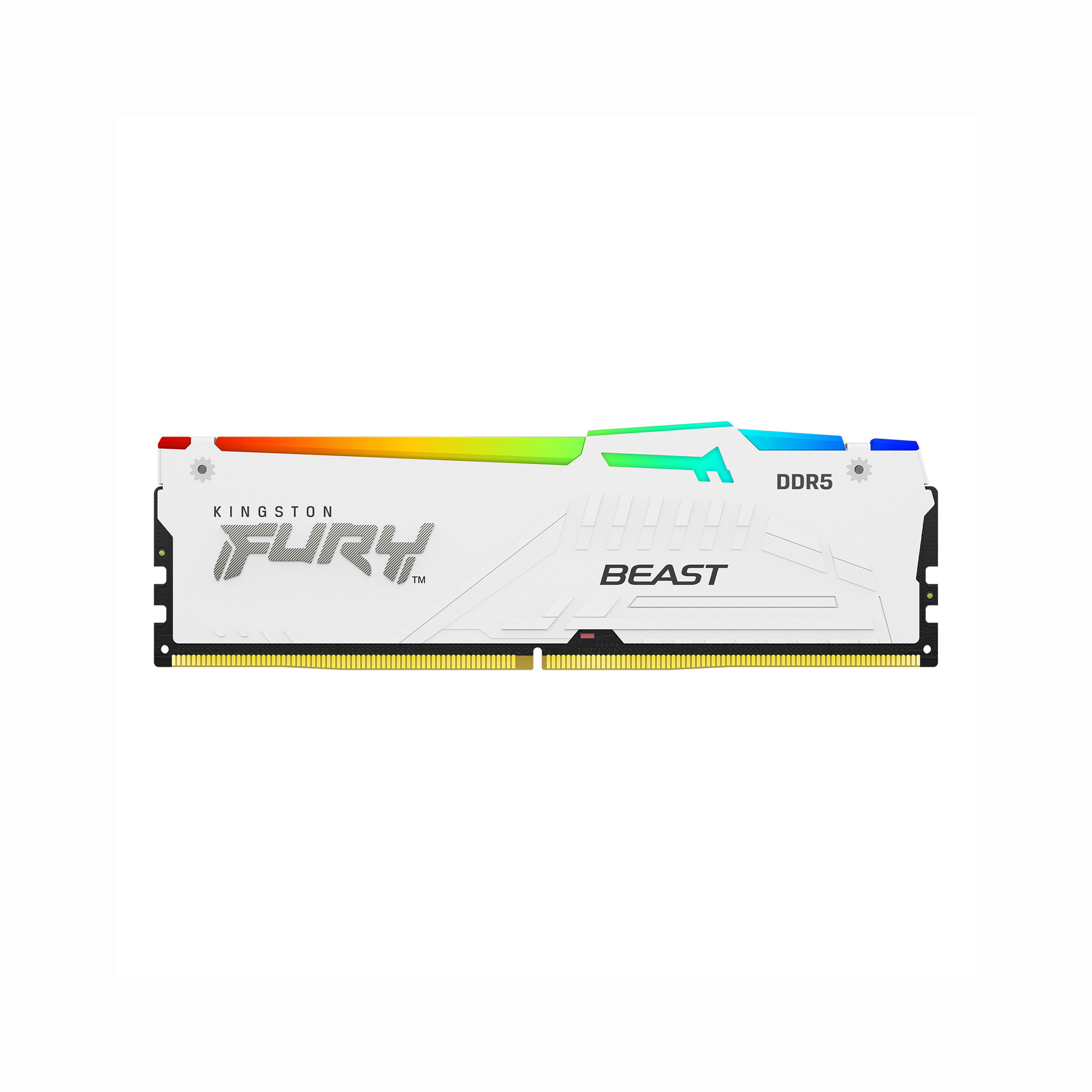 RAM Kingston FURY Beast RGB DDR5 5600MHz