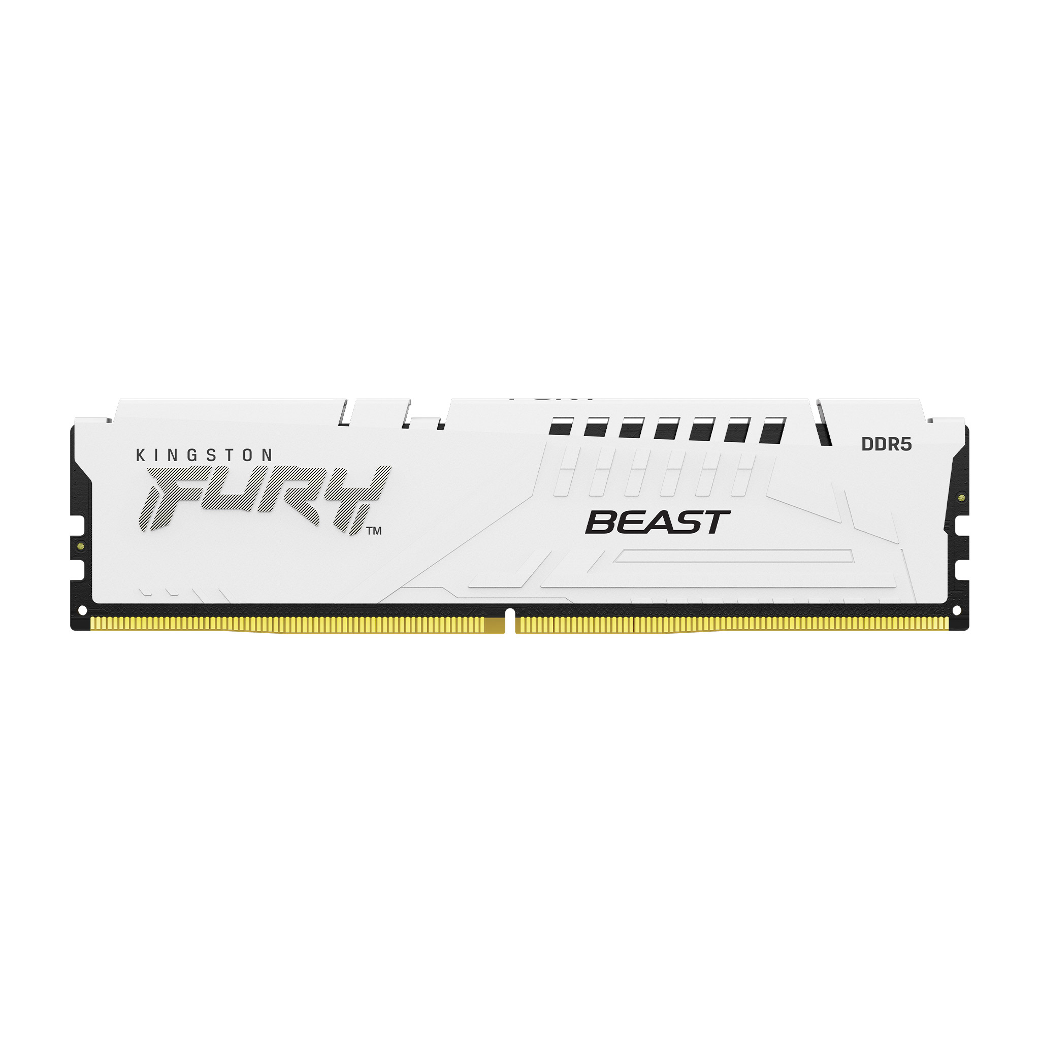 RAM Kingston Fury Beast DDR5 5600MHz