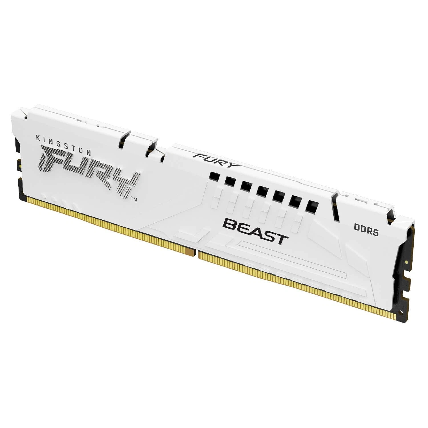 RAM PC Kingston FURY Beast DDR5 6000MHz (AMD EXPO+INTEL XMP)