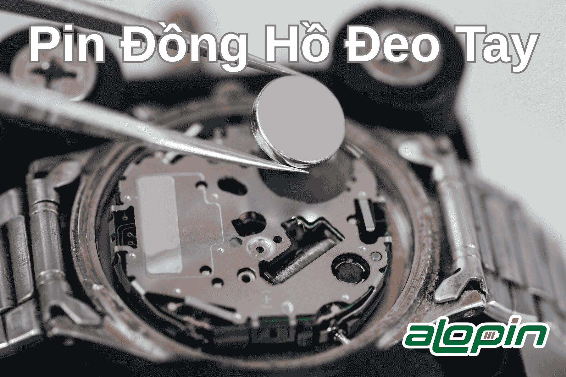 Pin Đồng Hồ Đeo Tay