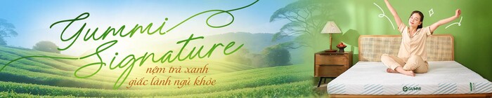 Nệm Gummi Signature