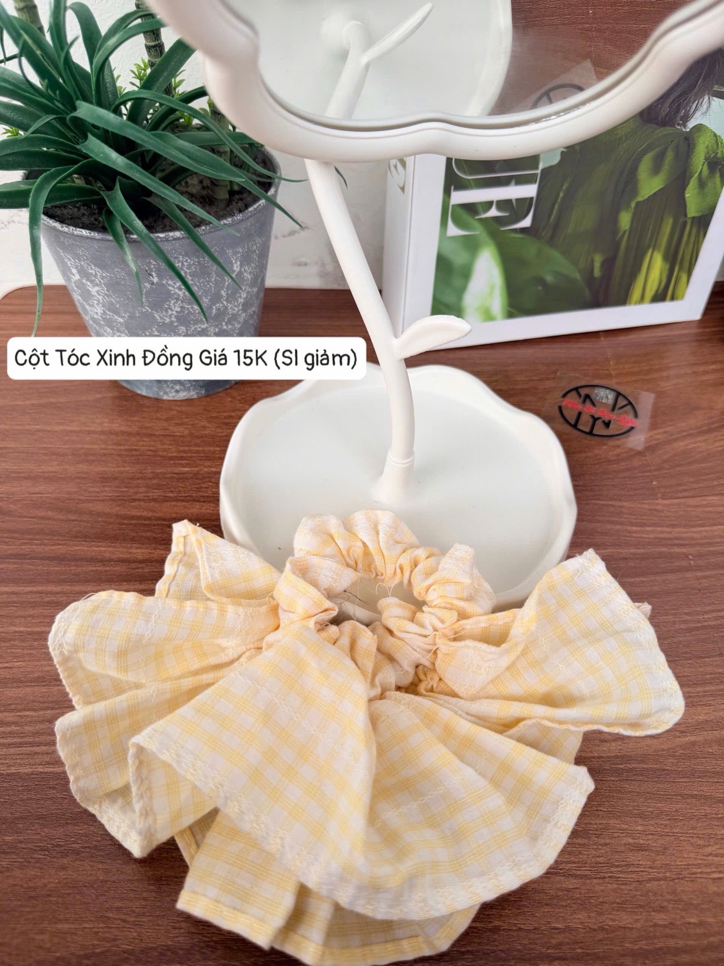 CỘT TÓC XINH ĐỒNG GIÁ 15K (3)