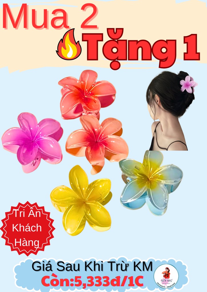 KM KẸP TÓC HOÁ SỨ KUTE ( MUA 2 TẶNG 1) (1)