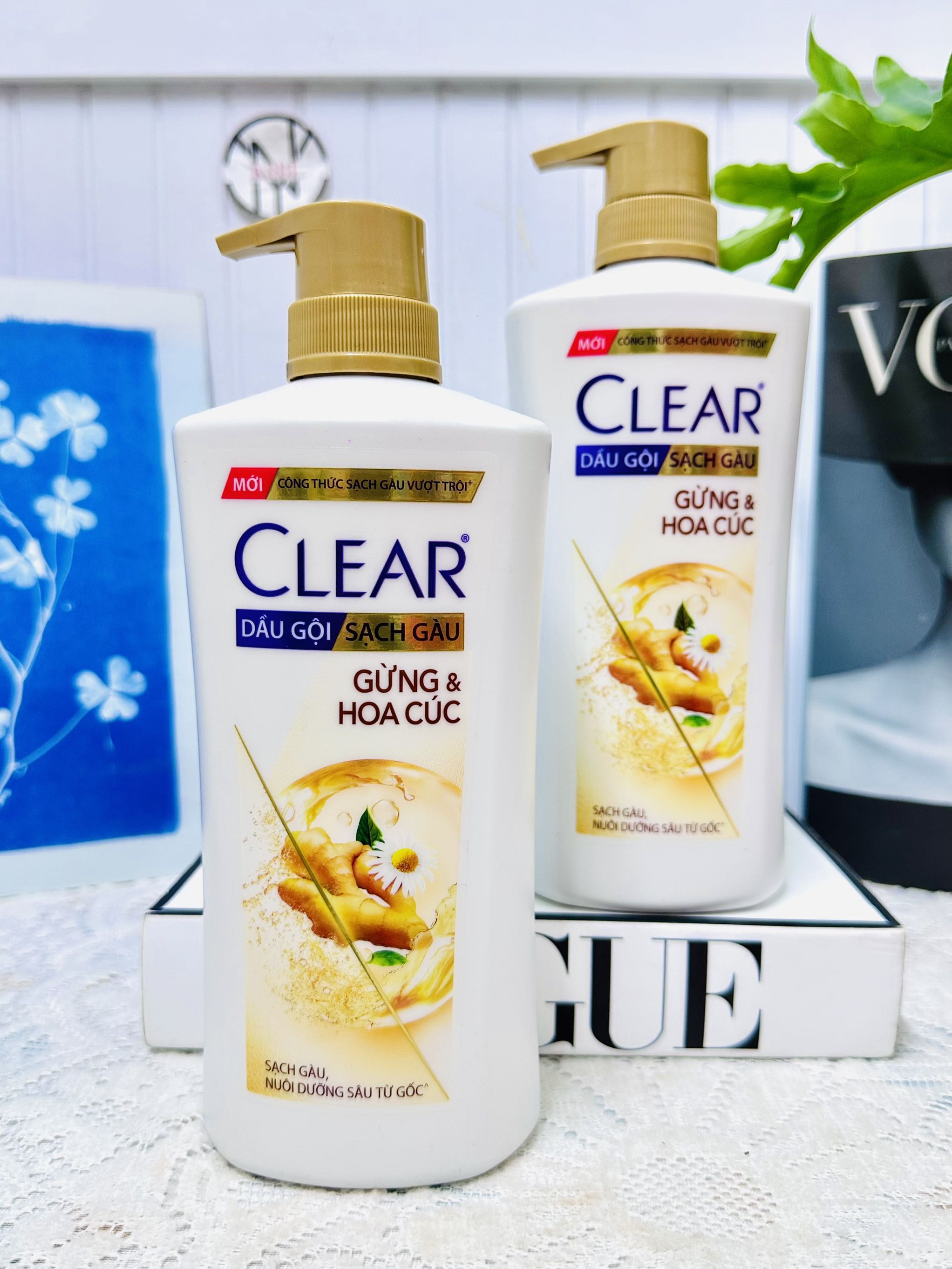 DẦU GỘI SẠCH GẦU CLEAR GỪNG & HOA CÚC 630g (Ko áp dụng giảm 10%)