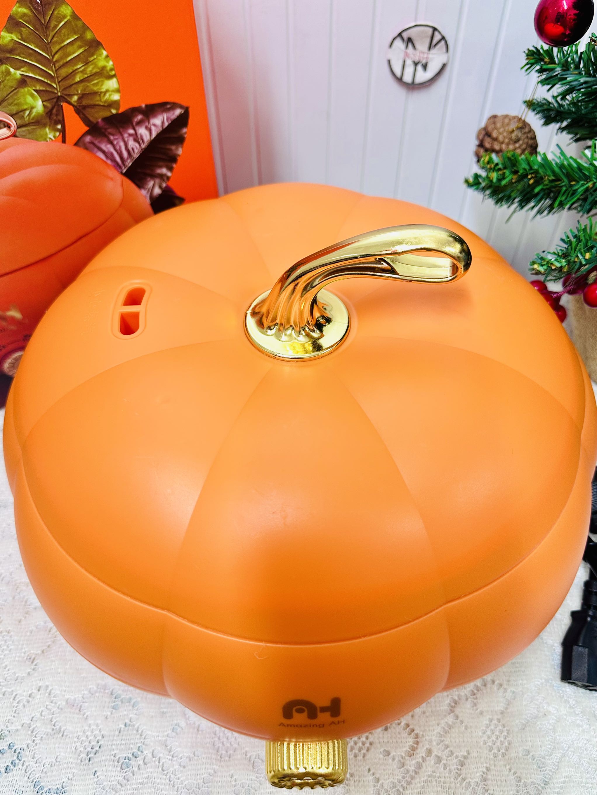 NỒI HẦM ĐIỆN HÌNH TRÁI BÍ LOẠI TO 5L (20)
