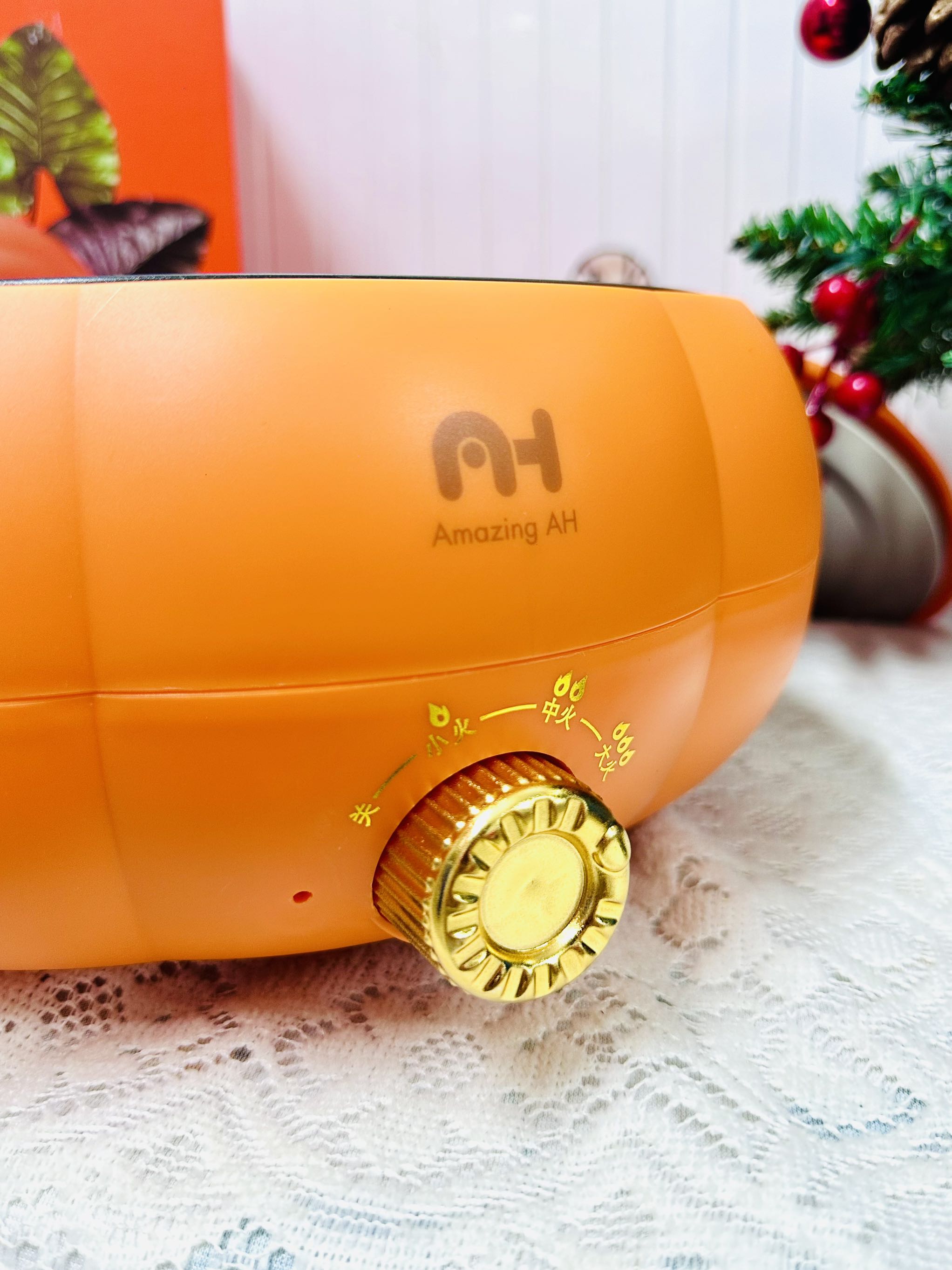 NỒI HẦM ĐIỆN HÌNH TRÁI BÍ LOẠI TO 5L (20)